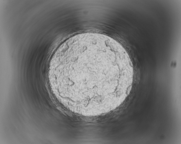 X0000113980241200911131101
