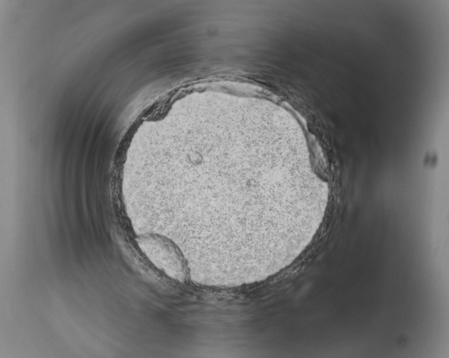 X0000113980242200911131101