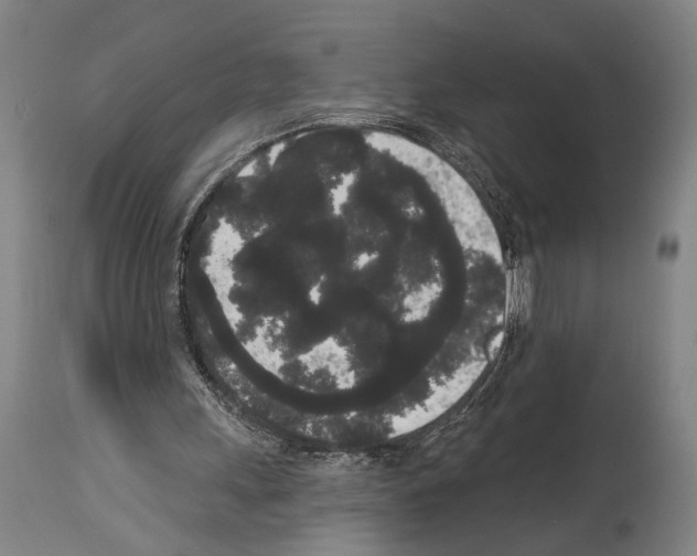 X0000113980243200911131101