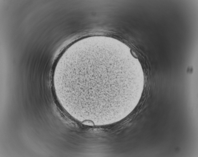 X0000113980244200911131102