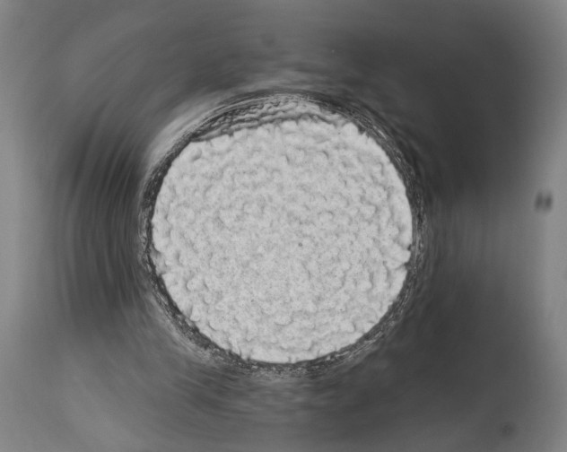 X0000113980245200911131102