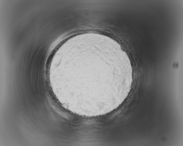 X0000113980246200911131102