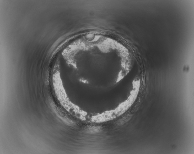 X0000113980247200911131102