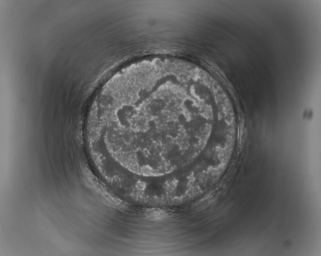 X0000113980249200911131102