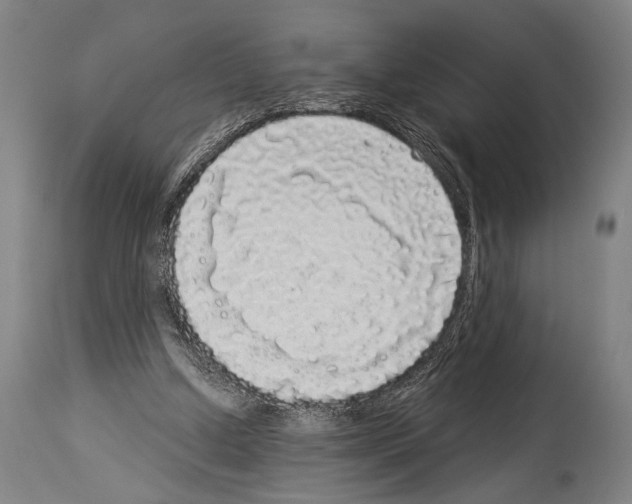 X0000113980250200911131102