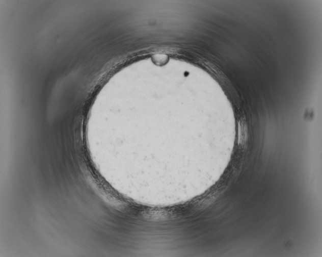 X0000113980253200911131102
