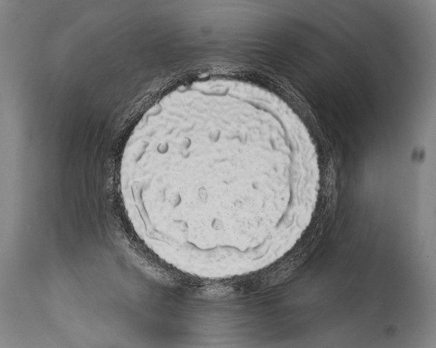 X0000113980257200911131102