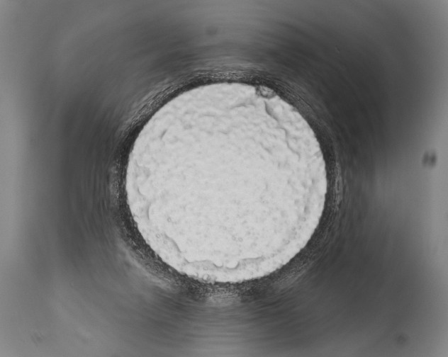 X0000113980258200911131102