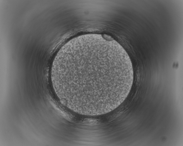 X0000113980260200911131102