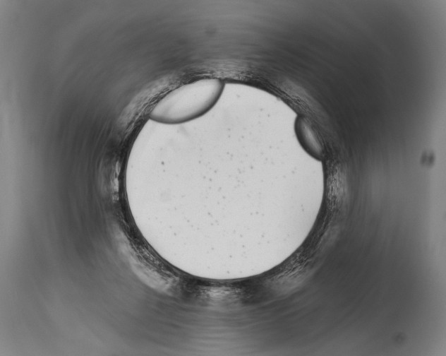 X0000113980264200911131102