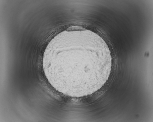 X0000113980265200911131102