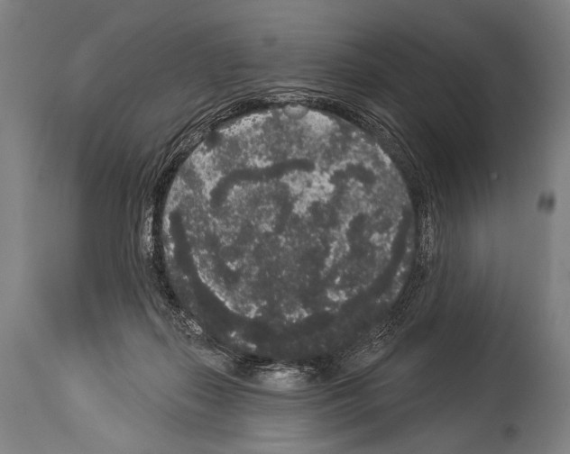 X0000113980267200911131102
