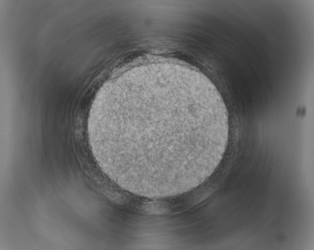 X0000113980269200911131102