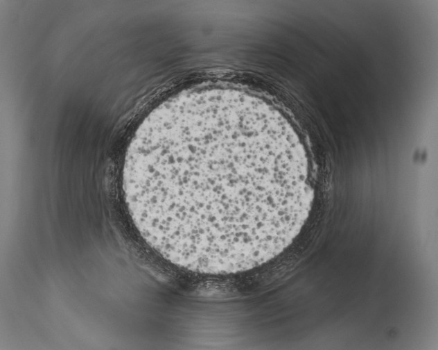 X0000113980270200911131102