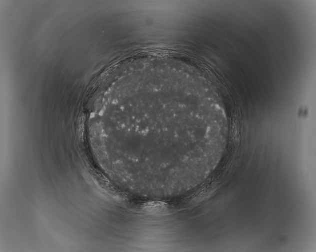 X0000113980271200911131102