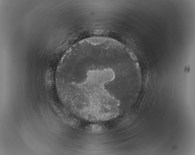 X0000113980272200911131102