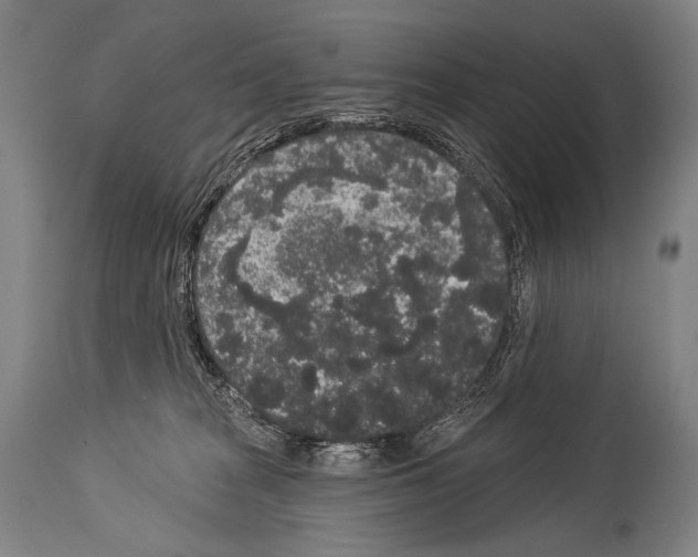 X0000113980277200911131102