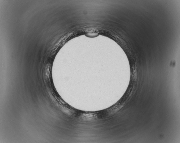 X0000113980280200911131102