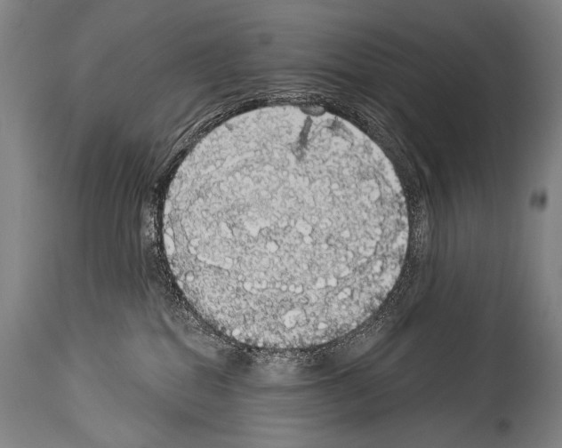 X0000113980282200911131102