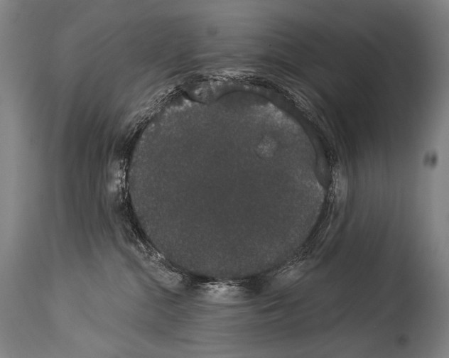 X0000113980284200911131102