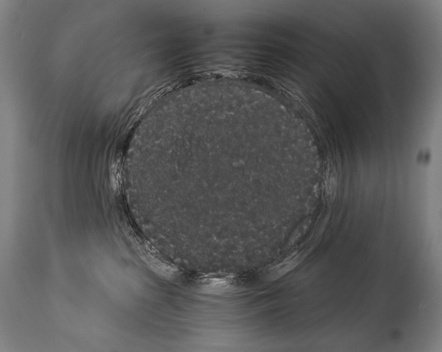 X0000113980285200911131102