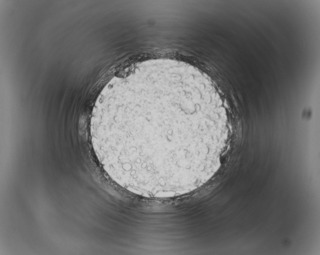 X0000113980286200911131102