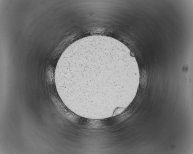 X0000113980287200911131102