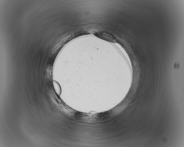 X0000113980288200911131102