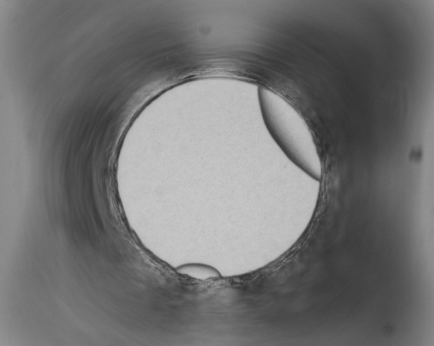 X0000113980289200911131101