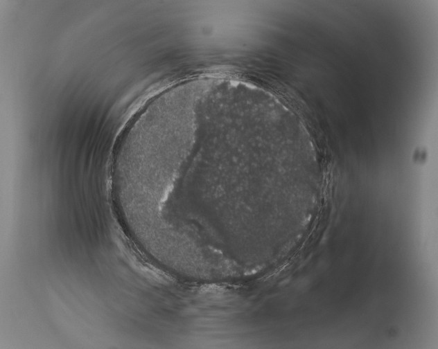 X0000113980290200911131101
