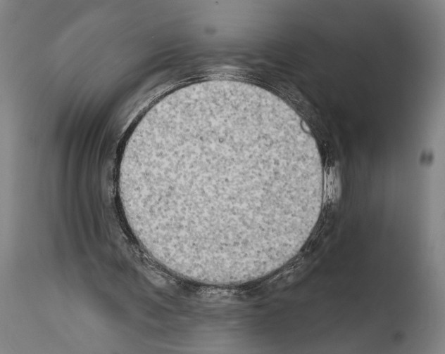X0000113980291200911131101