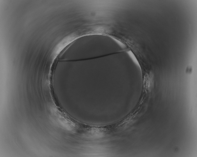 X0000113980292200911131101