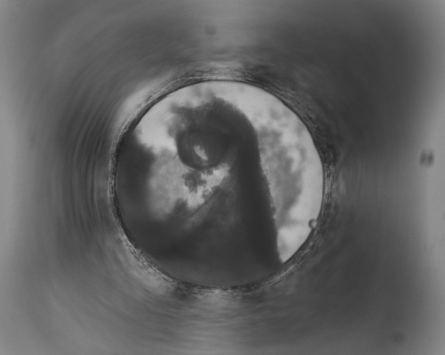 X0000113980293200911131101
