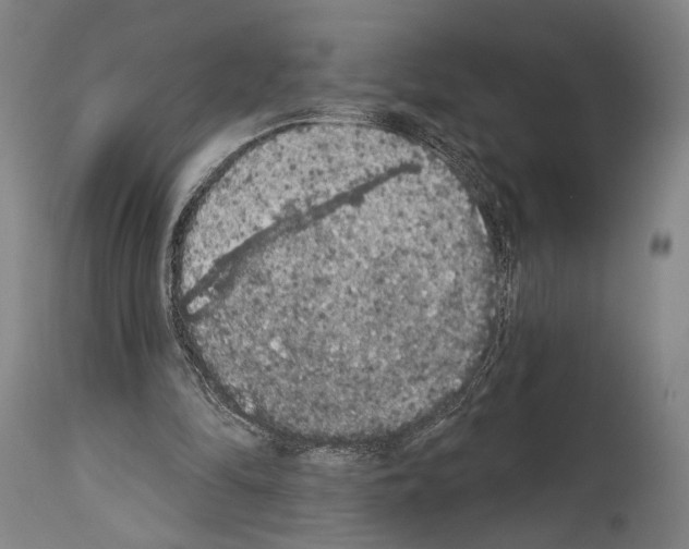 X0000113980294200911131101