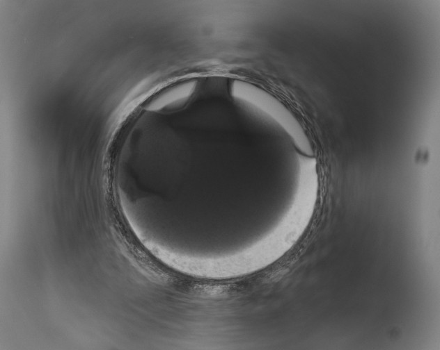 X0000113980295200911131101
