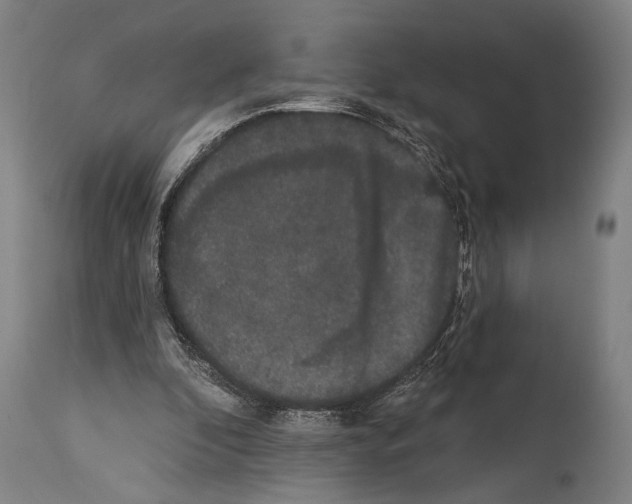 X0000113980296200911131101
