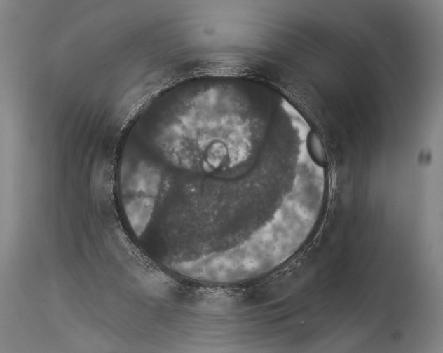 X0000113980297200911131101