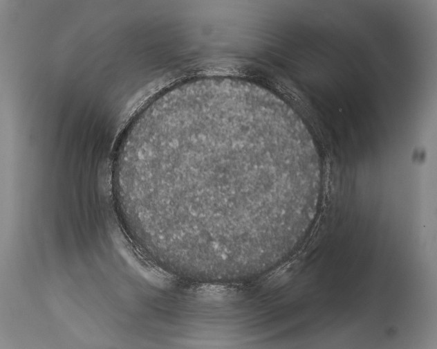 X0000113980298200911131101