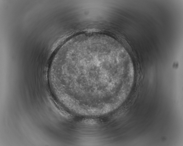 X0000113980299200911131101