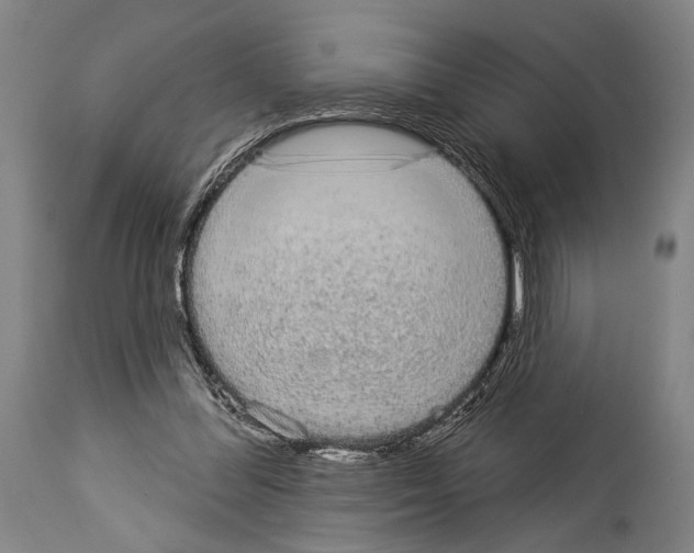 X0000113980300200911131101