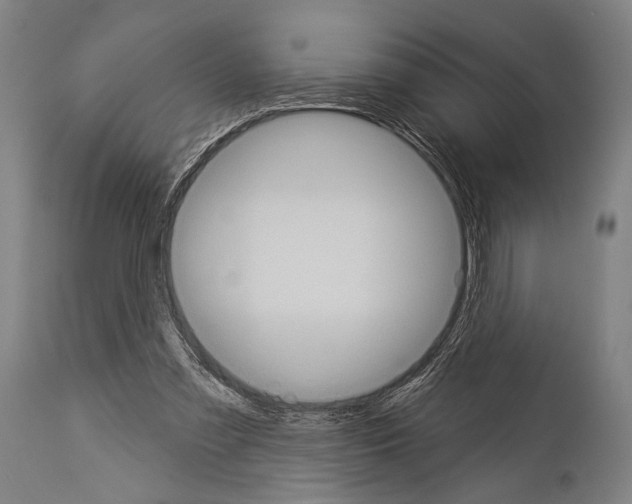 X0000113980301200911131101