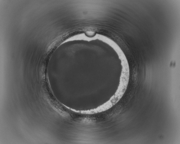 X0000113980303200911131101