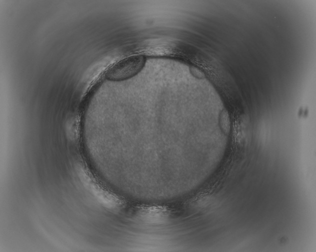 X0000113980304200911131101