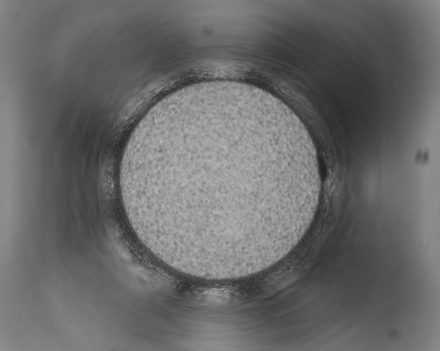 X0000113980306200911131101