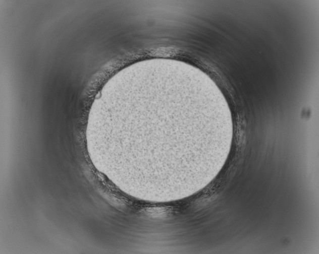 X0000113980307200911131101