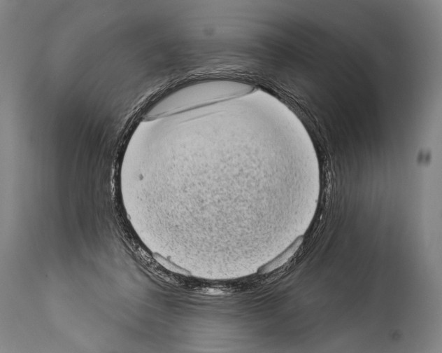 X0000113980308200911131101