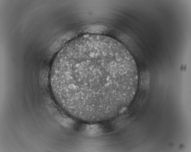 X0000113980309200911131101