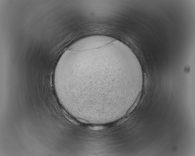 X0000113980313200911131101