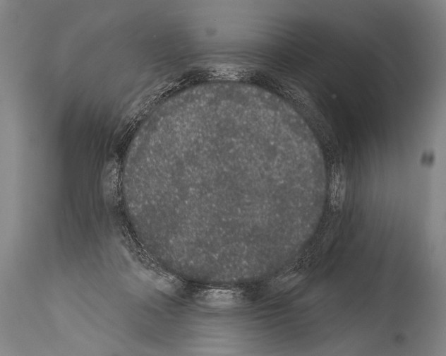 X0000113980314200911131101
