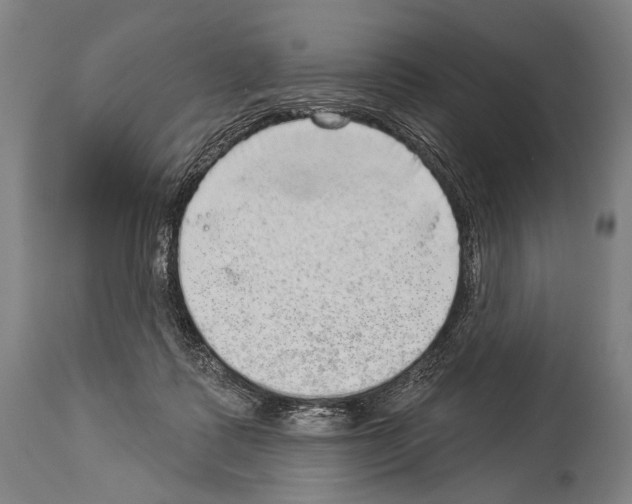 X0000113980315200911131101